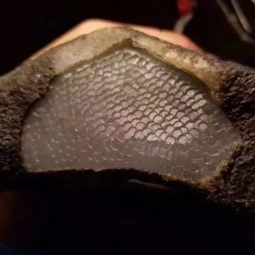 一块罕见的“鳄鱼皮”翡翠原石，连多年的老师傅都直呼没见过